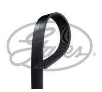 GATES 8PK1710HD Serpentine belt