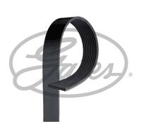 Fits GATES GAT9PK1453AHD V-ribbed Belt GAT9PK1453AHD Multi-V-belt (9PK1453) fit