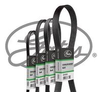 Fits GATES GATCB0036 V-Ribbed Belt DE stock