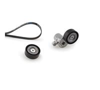 ✅Fits GATES K016PK1503 MULTI-ROVED BELT KIT. FORD ⭐UK Seller⭐