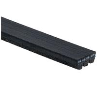 Fits GATES PASKI MV 3PK881SF 3PK881SF MICRO-V HORIZON ⭐UK Stock⭐