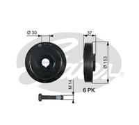 Fits GATES TVD1006A TVD1006A TO VIBRATE THE TORSO. DAM ⭐UK Stock⭐