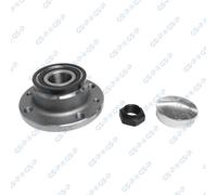 GSP 9230097K Wheel Bearing Kit for FIAT