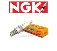Fits Harley Davidson XL 1200 Sportster 1999 NGK Spark Plug DCPR7EIX (x1)