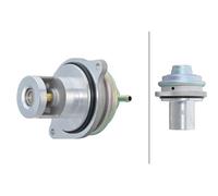 HELLA 6NU 014 865-531 EGR valve