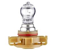 HELLA Halogen-Bulb - PS19W - Standard - 12V - 19W - Quantity: 1 8GA223569-021