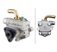 Fits HELLA 8TL 359 000-261 booster pump ⭐UK Stock⭐