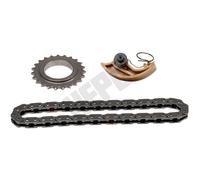 HEPU 21-0684 Oil pump chain kit