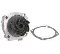 HEPU P620 Water pump