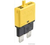 Fits HERTH+BUSS ELPARTS 50295904 Fuse Standard 20A 32V 50295904 Fuse (1pcs, rat