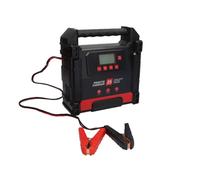 Fits IDEAL PCHARGE25 Battery charger 12/24V 25A PCHARGE25 Battery cha ⭐UK Stock⭐