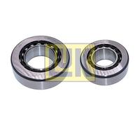 ✅Fits INA 462 5007 70 DIFFERENTIAL REPAIR KIT ⭐UK Seller⭐