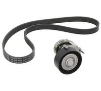 INA 529 0103 10 V-Ribbed Belt Set