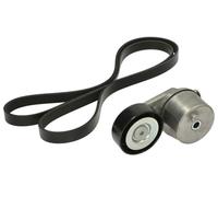 INA 529 0409 10 V-Ribbed Belt Set