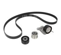 INA 529 0423 20 V-Ribbed Belt Set