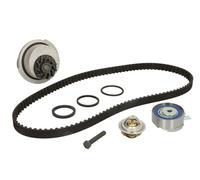 Fits INA 530 0004 30 Water Pump & Timing Belt Kit DE stock