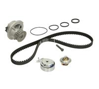 Fits INA 530 0004 31 Water Pump & Timing Belt Kit DE stock