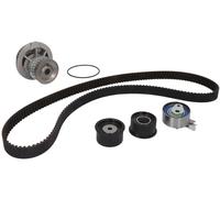 ✅Fits INA 530 0049 30 Water Pump & Timing Belt Kit 530 0049 30 Timin ⭐UK Seller⭐