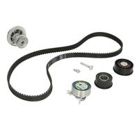 Fits INA 530 0078 32 Water Pump & Timing Belt Kit DE stock