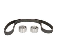 Fits INA 530 0113 10 Timing belt set DE stock