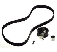 Fits INA 530 0170 10 Timing belt set DE stock