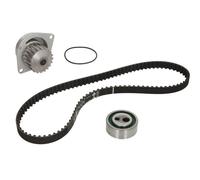 Fits INA 530 0252 30 Water Pump & Timing Belt Kit DE stock