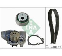 INA Water Pump & Timing Belt Kit 530 0258 30 for Citroën Peugeot Fiat
