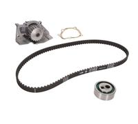 INA Water Pump & Timing Belt Kit 530 0258 30 for Citroën Peugeot Fiat