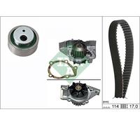 Ina Water Pump & Timing Belt Kit 530 0258 31 for Peugeot Citroen Fiat Lancia