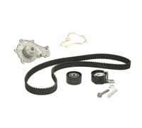 Fits INA 530 0375 30 Water Pump & Timing Belt Kit DE stock