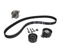 Fits INA 530 0379 30 Water Pump & Timing Belt Kit DE stock