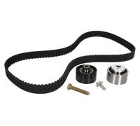 Fits INA 530 0440 10 Timing belt set DE stock