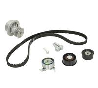 Fits INA 530 0443 30 Water Pump & Timing Belt Kit DE stock