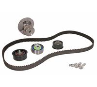 Fits INA 530 0443 31 Water Pump & Timing Belt Kit DE stock