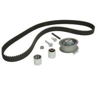 Fits INA 530 0445 10 Timing belt set DE stock
