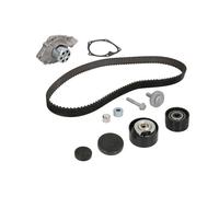 Fits INA 530 0638 30 Water Pump & Timing Belt Kit DE stock