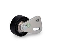 Aux Belt Tensioner 531032210 INA Drive V-Ribbed 2245584 64552245584 PQG100340L