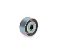 ✅Fits INA 531 0550 10 BELT TENSIONER LENGTHWISE. 1.9D SIL. DW8 +ASSI ⭐UK Seller⭐