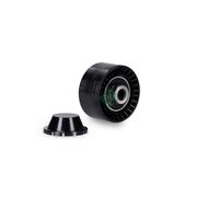 INA Tensioner Pulley 531 0811 10 - V-ribbed Aux Belt for Renault Wind, Twingo II, Clio III