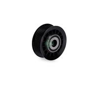 Ina Belt Tensioner 326220440