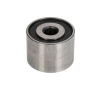 INA ABDS Deflection Pulley - 532029610