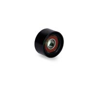 Aux Belt Idler Pulley 532030410 INA Guide Deflection 05080319AA 5080319AA New