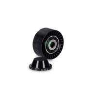INA ABDS Deflection Pulley 532033110