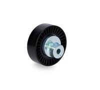 INA 532041810 Guide Pulley
