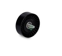 Ina Belt Tensioner 326735290
