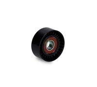 LUK 532051610 Guide Pulley