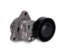 Aux Belt Tensioner 534001810 INA Drive V-Ribbed 0K88R15981 252814X000 252814X100