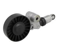 INA 534003310 Tensioner Lever