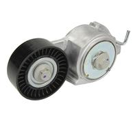 Fits INA 534 0069 10 Belt Tensioner, V-ribbed belt 534 0069 10 Multi-V belt ten
