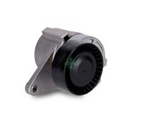 Aux Belt Tensioner 534010310 INA Drive V-Ribbed 30637141 30757057 31251250 New